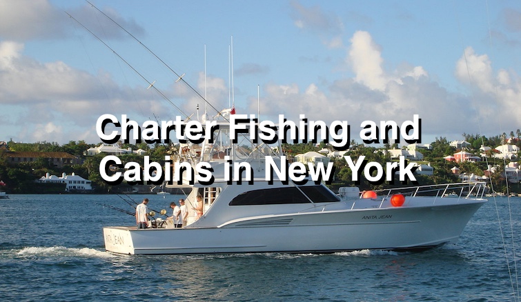 Compare cabins and charter fishing in New York :)